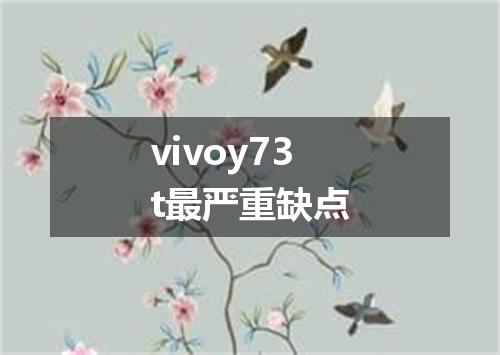 vivoy73t最严重缺点