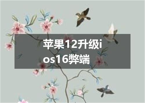 苹果12升级ios16弊端