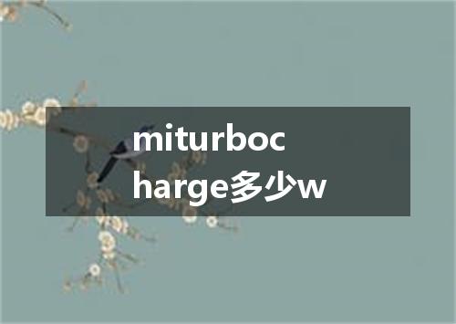 miturbocharge多少w