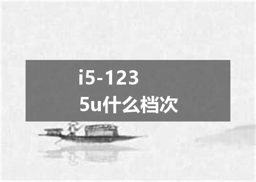 i5-1235u什么档次