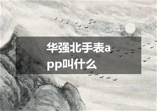 华强北手表app叫什么