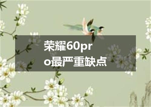 荣耀60pro最严重缺点