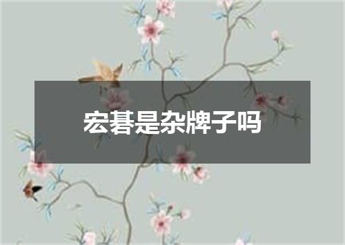 宏碁是杂牌子吗