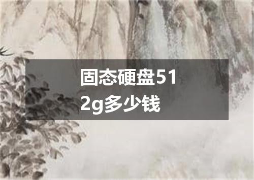 固态硬盘512g多少钱