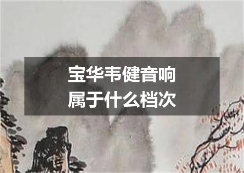 宝华韦健音响属于什么档次