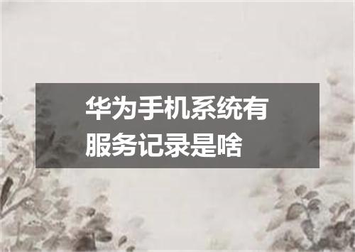 华为手机系统有服务记录是啥