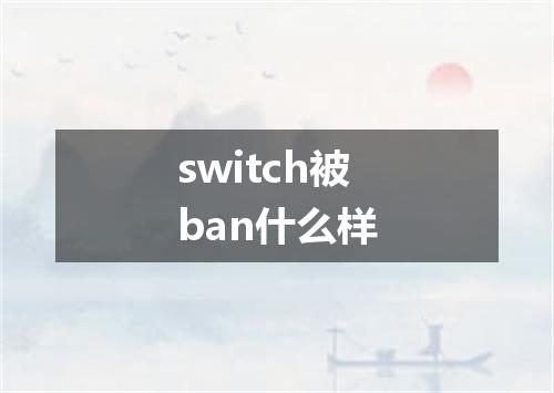 switch被ban什么样