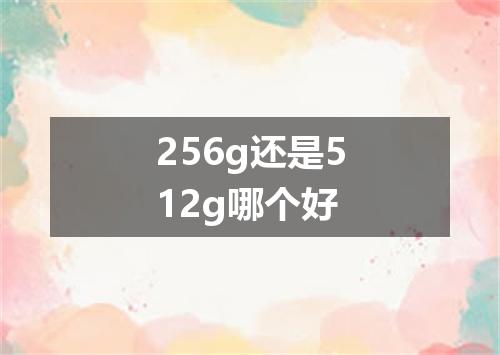 256g还是512g哪个好