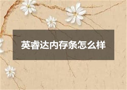 英睿达内存条怎么样