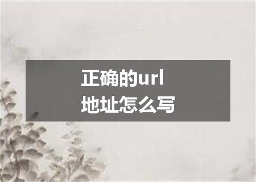 正确的url地址怎么写