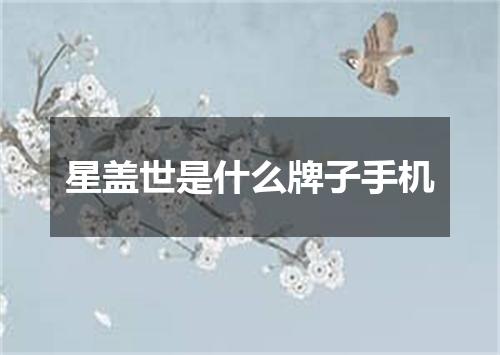 星盖世是什么牌子手机