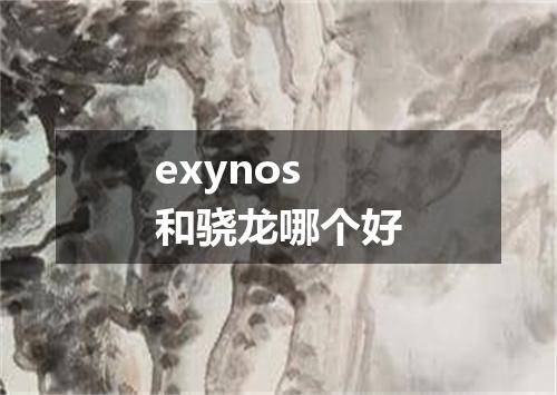 exynos和骁龙哪个好