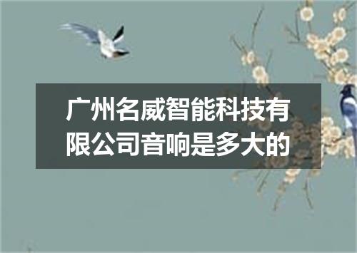 广州名威智能科技有限公司音响是多大的