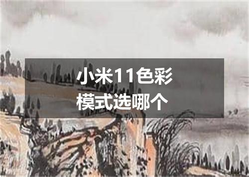 小米11色彩模式选哪个