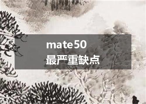 mate50最严重缺点