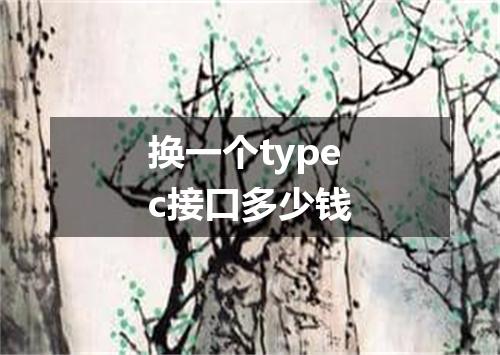 换一个typec接口多少钱