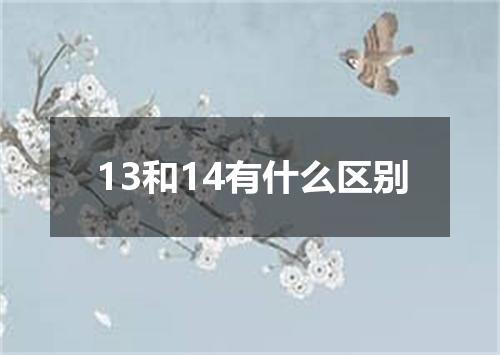 13和14有什么区别