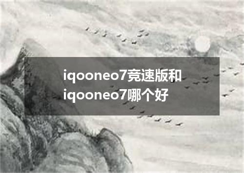 iqooneo7竞速版和iqooneo7哪个好