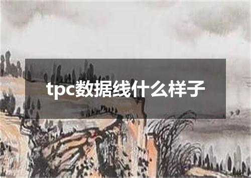 tpc数据线什么样子