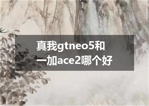 真我gtneo5和一加ace2哪个好