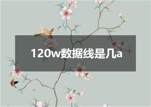 120w数据线是几a