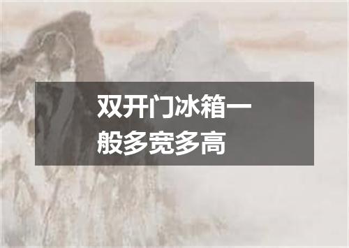 双开门冰箱一般多宽多高