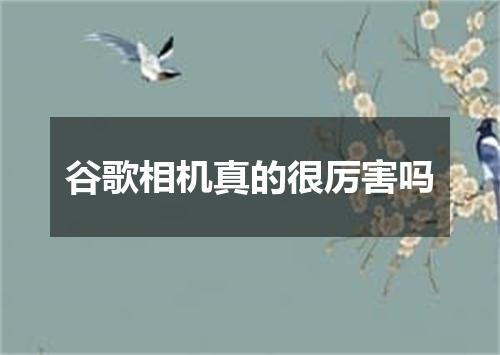 谷歌相机真的很厉害吗