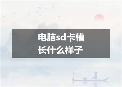 电脑sd卡槽长什么样子