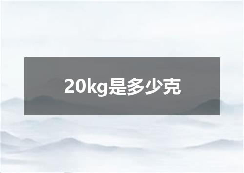 20kg是多少克