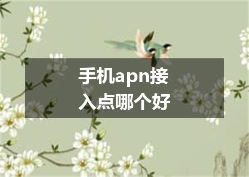 手机apn接入点哪个好
