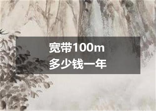 宽带100m多少钱一年