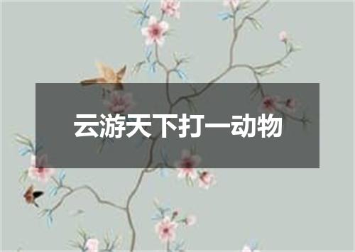 云游天下打一动物