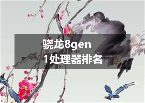 骁龙8gen1处理器排名