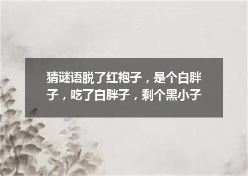 猜谜语脱了红袍子，是个白胖子，吃了白胖子，剩个黑小子