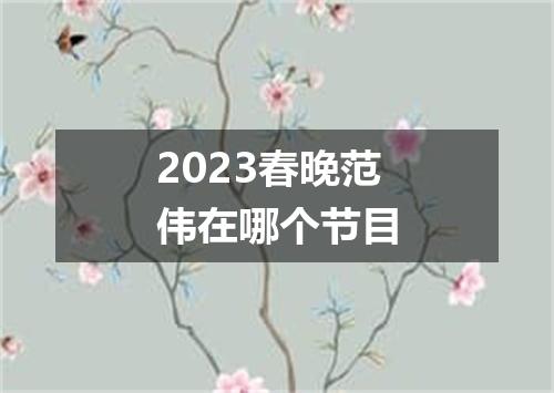 2023春晚范伟在哪个节目