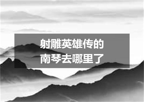 射雕英雄传的南琴去哪里了