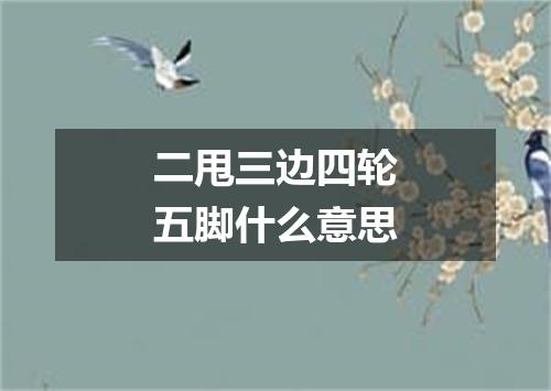 二甩三边四轮五脚什么意思