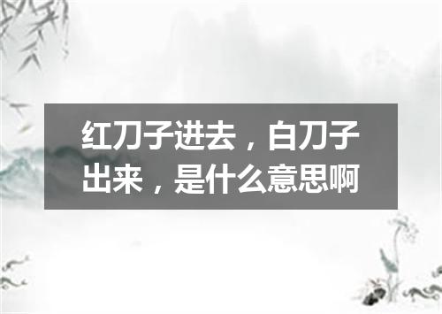 红刀子进去，白刀子出来，是什么意思啊