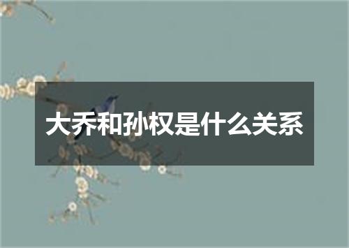 大乔和孙权是什么关系