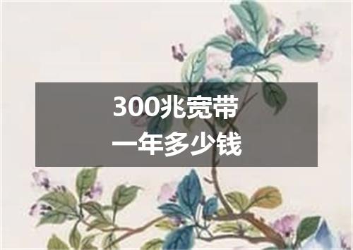 300兆宽带一年多少钱