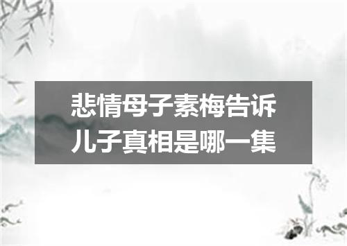 悲情母子素梅告诉儿子真相是哪一集