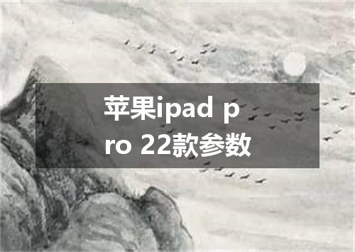 苹果ipad pro 22款参数