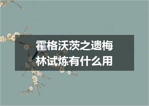 霍格沃茨之遗梅林试炼有什么用