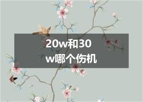 20w和30w哪个伤机