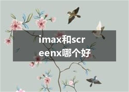 imax和screenx哪个好