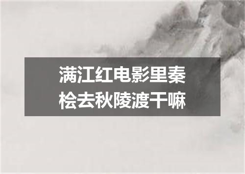 满江红电影里秦桧去秋陵渡干嘛