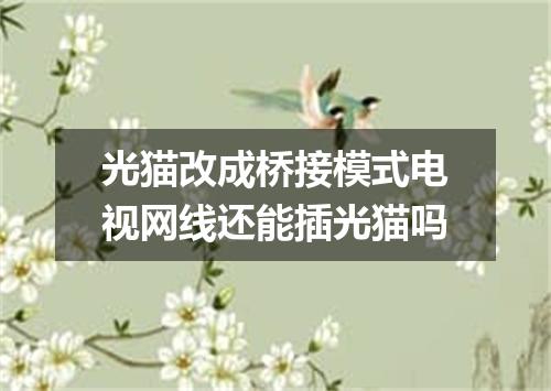 光猫改成桥接模式电视网线还能插光猫吗