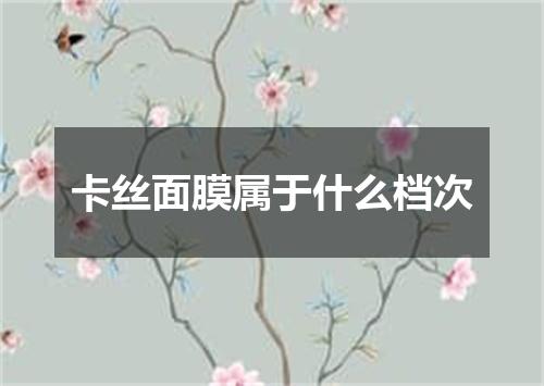 卡丝面膜属于什么档次