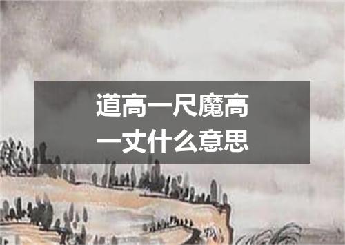 道高一尺魔高一丈什么意思