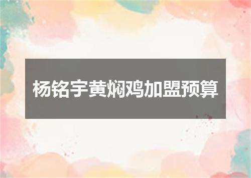 杨铭宇黄焖鸡加盟预算